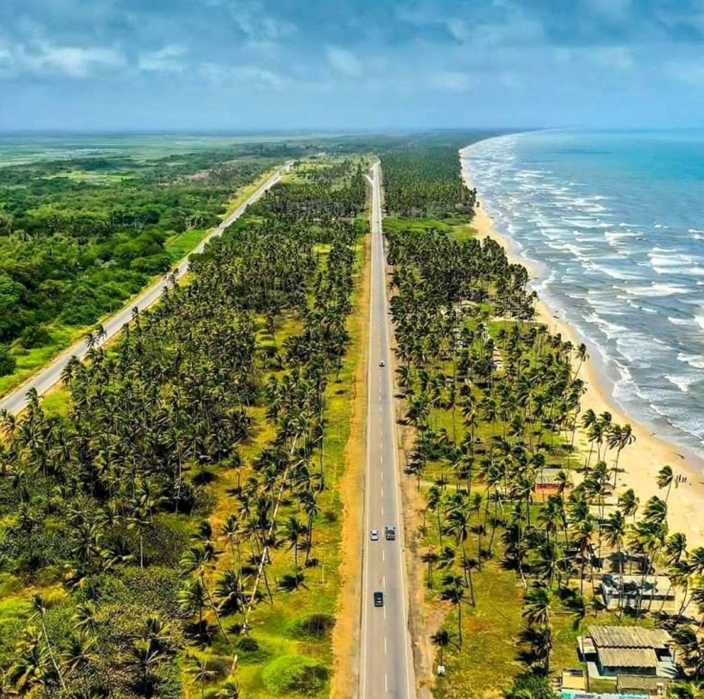 Costa y palmeras de Chichiriviche